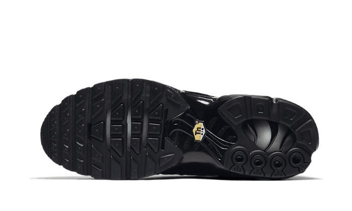Air Max Plus Triple Black