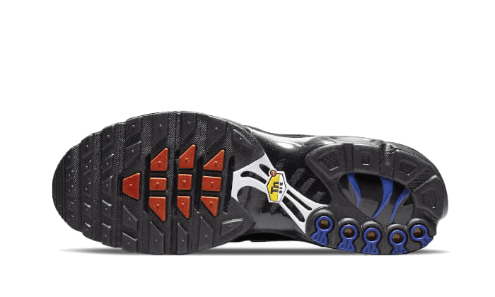 Air Max Plus France